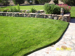 Image of a vibrant healthy lawn thanks to Lawn Rangers your trusted Albuquerque landscaper